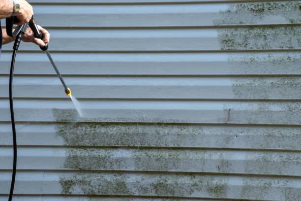 Best Residential Junk Removal  in Wolcott, IN