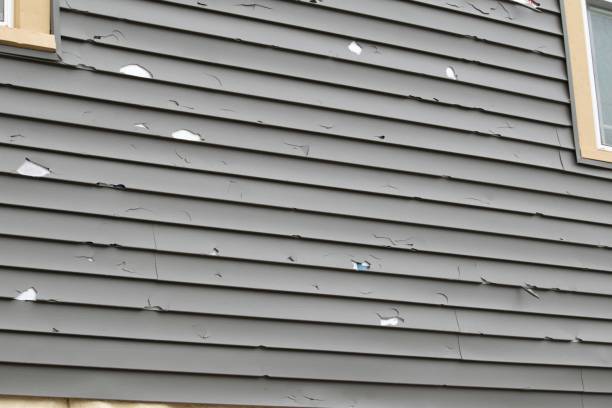 Best Demolition Debris Removal  in Wolcott, IN