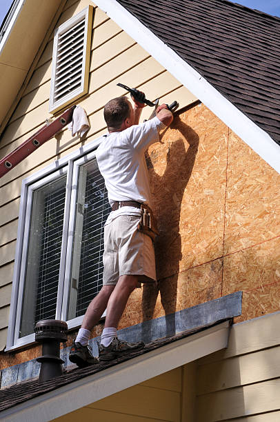 Shed Removal in Wolcott, IN